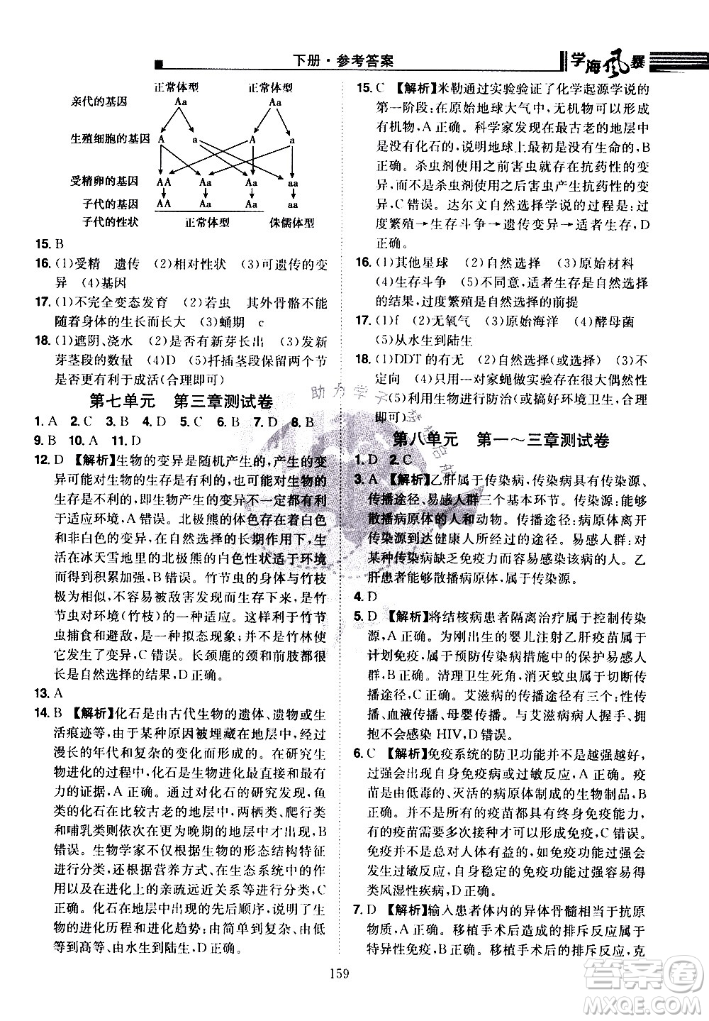 江西美術(shù)出版社2021學海風暴生物八年級下冊RJ人教版答案