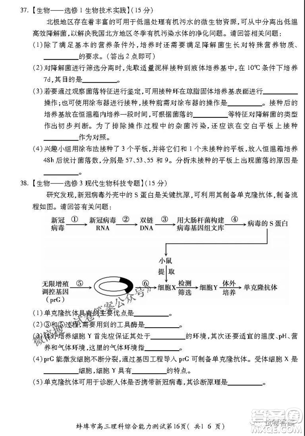 蚌埠市2021屆高三年級第三次教學(xué)質(zhì)量檢查考試?yán)砜凭C合試題及答案