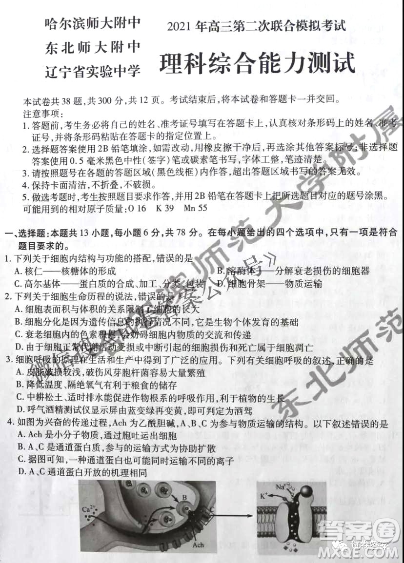 東北三省三校2021年高三第二次聯(lián)合模擬考試?yán)砜凭C合試題及答案