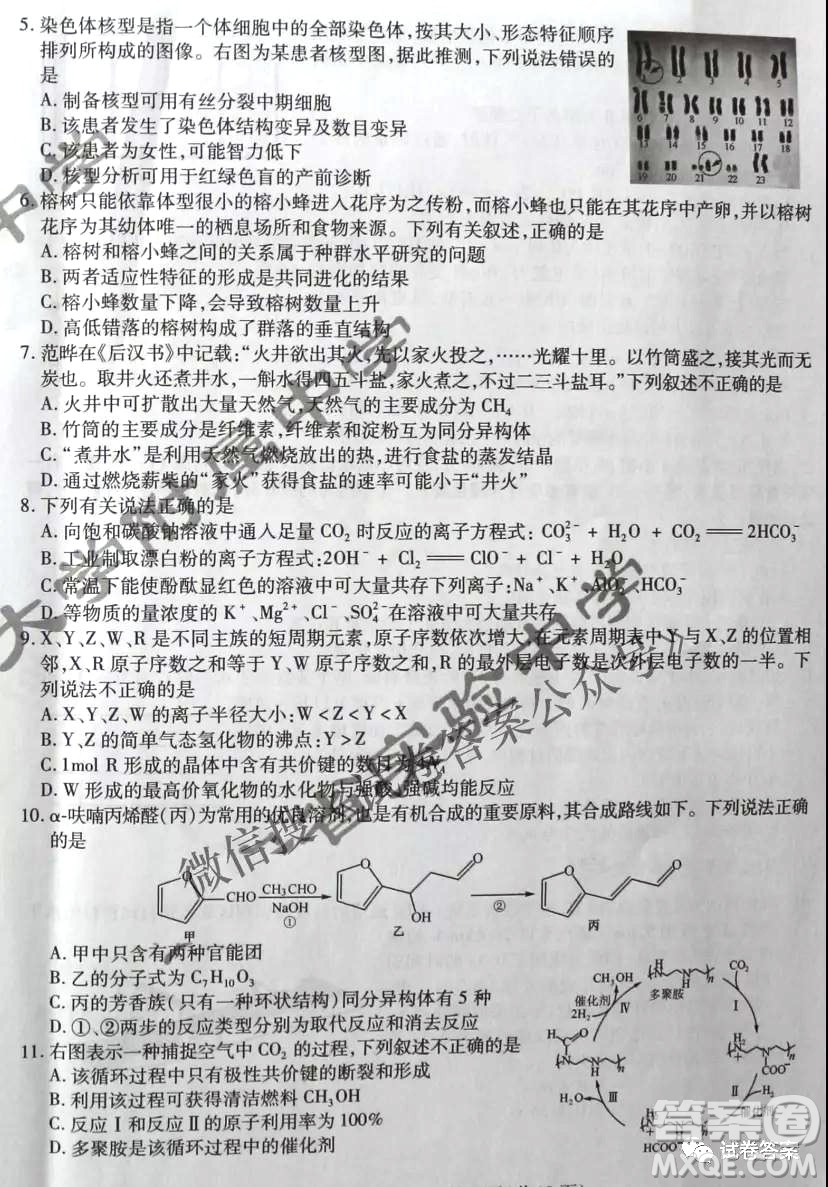 東北三省三校2021年高三第二次聯(lián)合模擬考試?yán)砜凭C合試題及答案