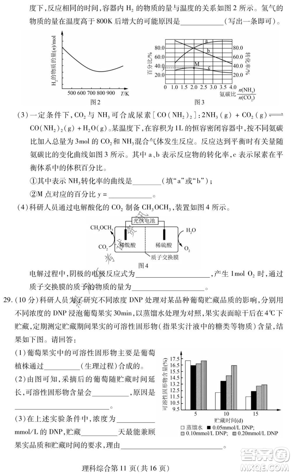 2021年東北三省四市教研聯(lián)合體高考模擬試卷二理科綜合試題及答案