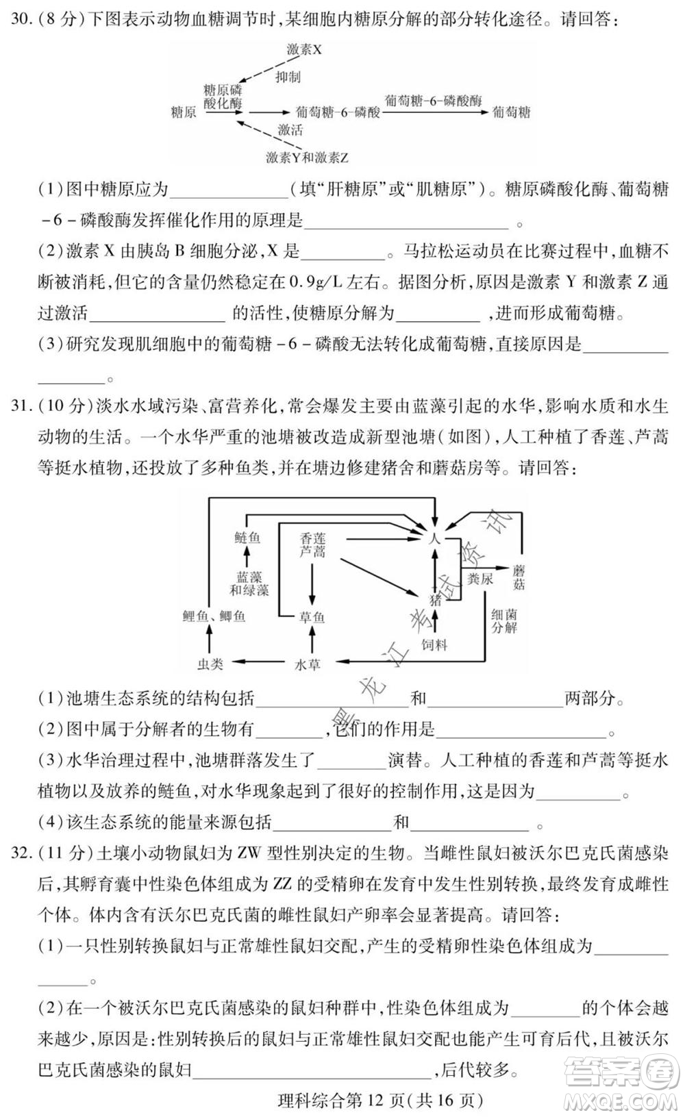 2021年東北三省四市教研聯(lián)合體高考模擬試卷二理科綜合試題及答案