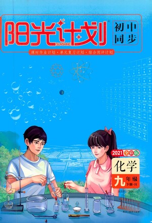 黑龍江教育出版社2021春陽光計(jì)劃初中同步化學(xué)九年級下冊R人教版答案