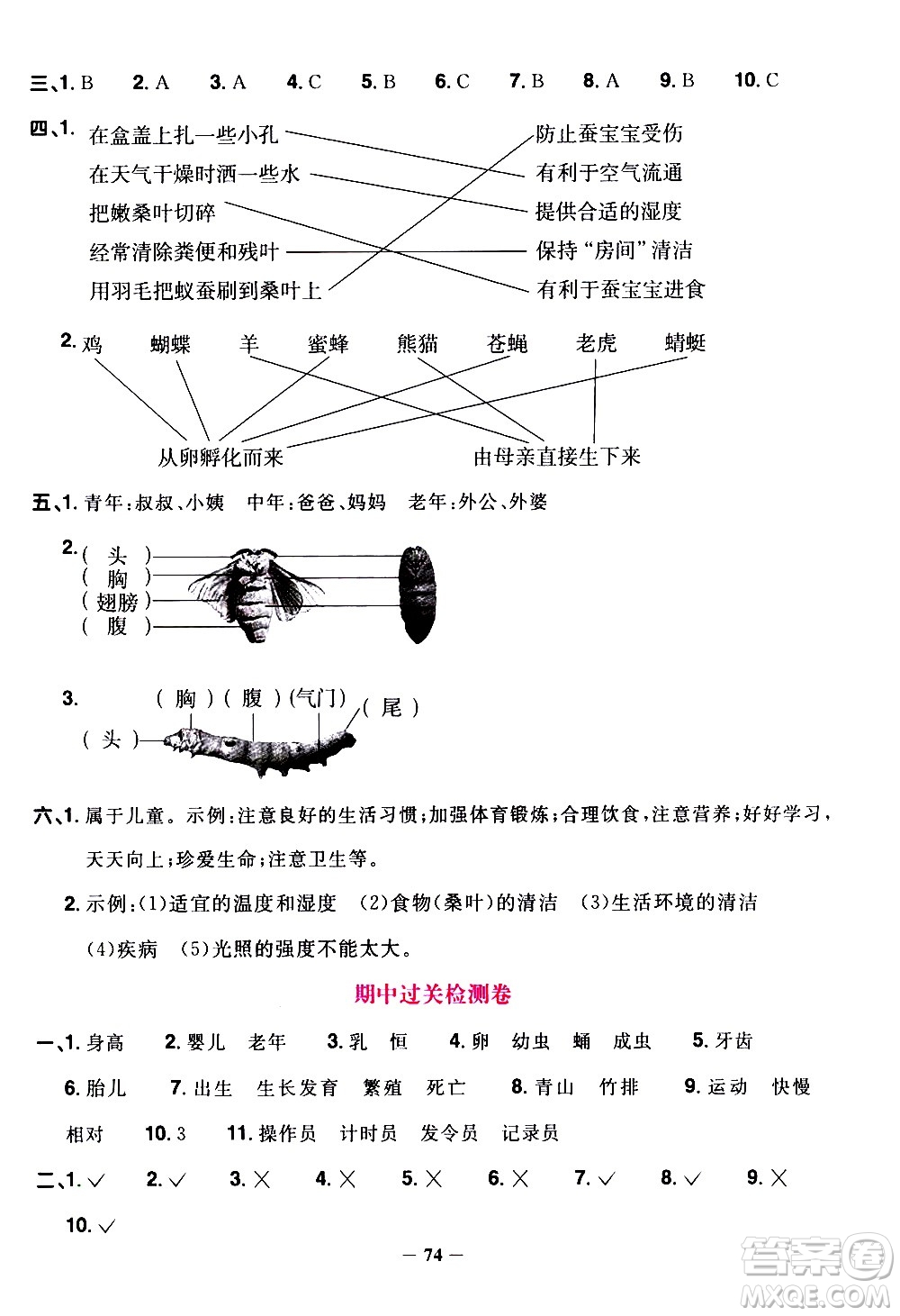 江西教育出版社2021陽光同學課時優(yōu)化作業(yè)科學三年級下冊JK教科版答案