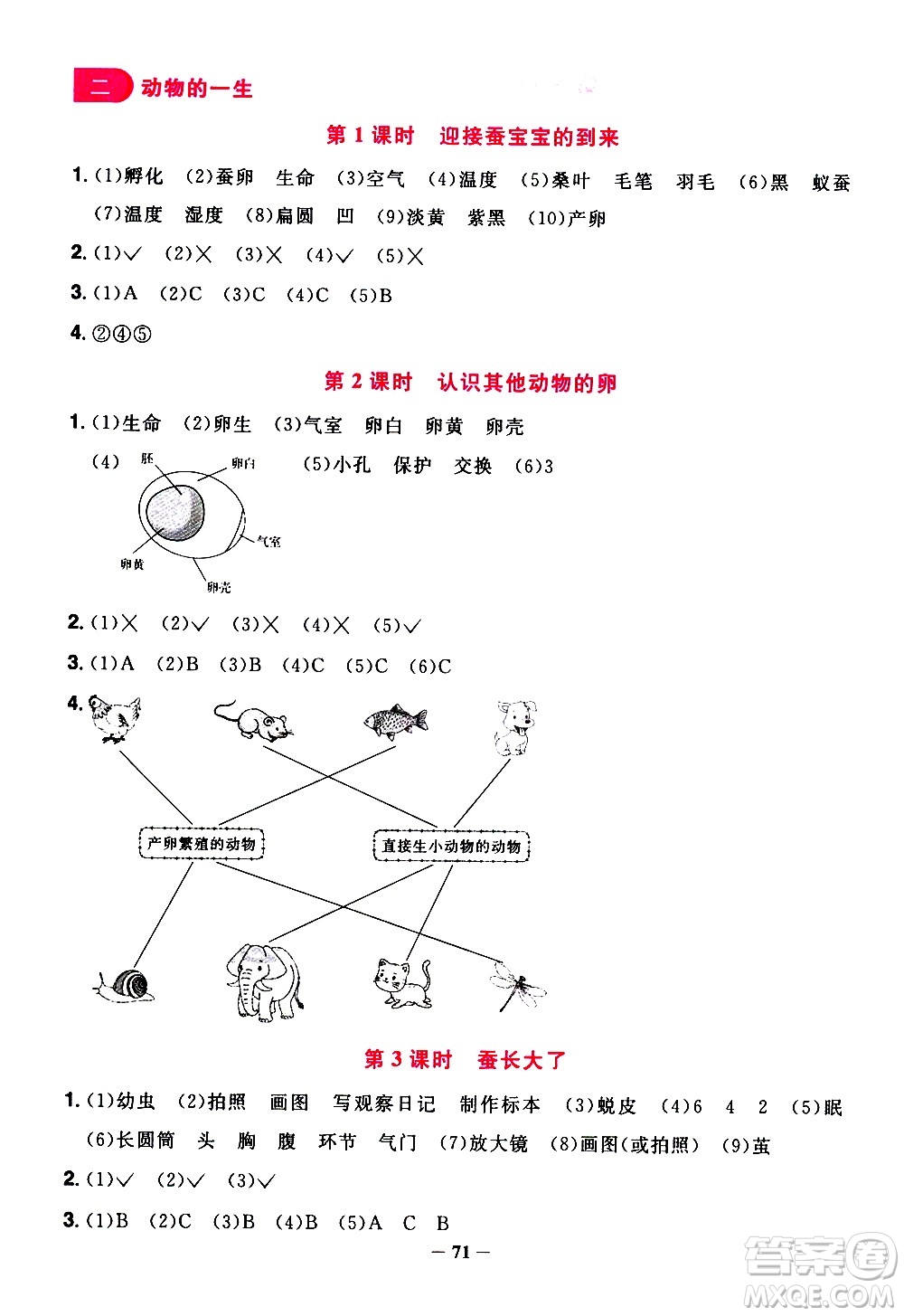 江西教育出版社2021陽光同學課時優(yōu)化作業(yè)科學三年級下冊JK教科版答案