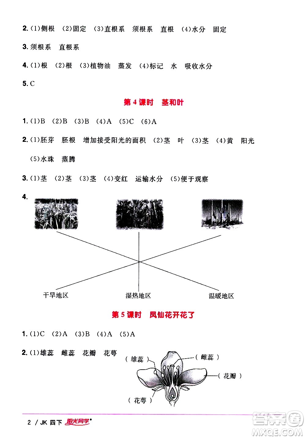 江西教育出版社2021陽(yáng)光同學(xué)課時(shí)優(yōu)化作業(yè)科學(xué)四年級(jí)下冊(cè)JK教科版答案