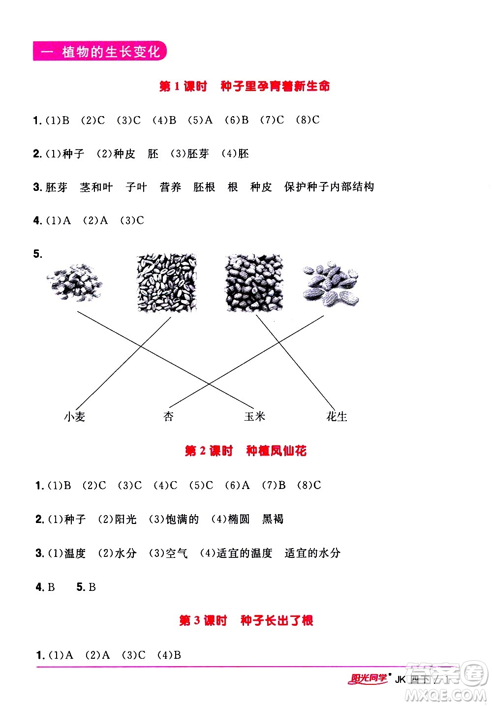 江西教育出版社2021陽(yáng)光同學(xué)課時(shí)優(yōu)化作業(yè)科學(xué)四年級(jí)下冊(cè)JK教科版答案