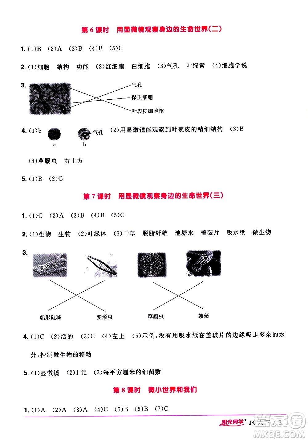 江西教育出版社2021陽光同學(xué)課時優(yōu)化作業(yè)科學(xué)六年級下冊JK教科版答案