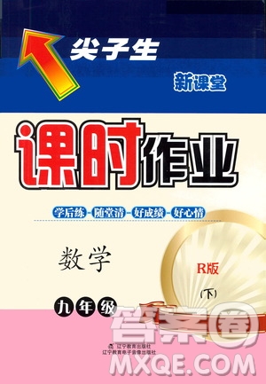 遼寧教育出版社2021尖子生新課堂課時作業(yè)九年級數(shù)學下冊人教版答案