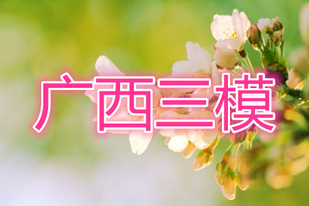 2021年4月廣西高三模擬考試語(yǔ)文試題及答案