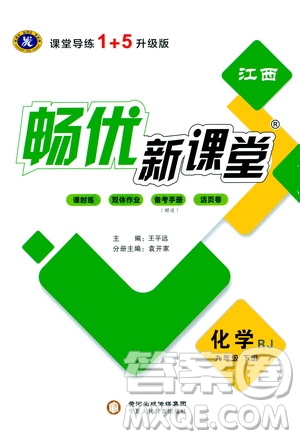 寧夏人民教育出版社2021暢優(yōu)新課堂九年級化學(xué)下冊人教版江西專版答案