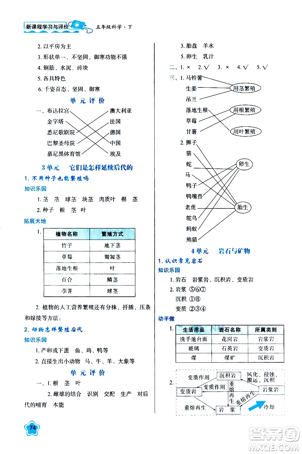 陜西人民教育出版社2021新課程學(xué)習(xí)與評價(jià)五年級科學(xué)下B蘇教版答案