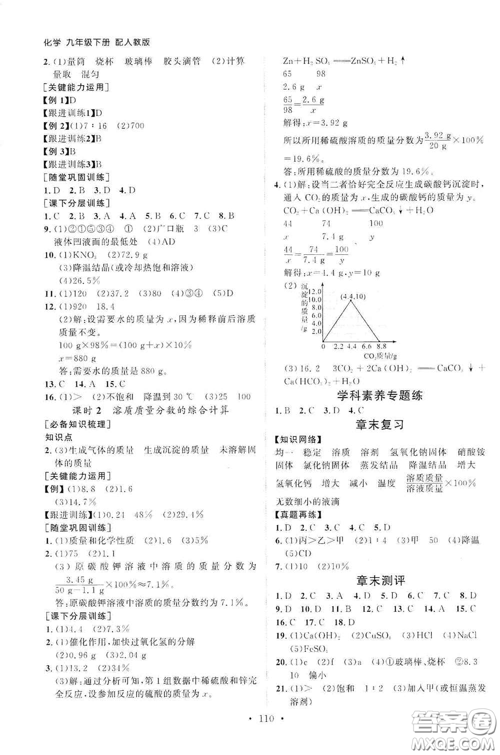 山東人民出版社2021初中同步練習(xí)冊九年級化學(xué)下冊人教版答案