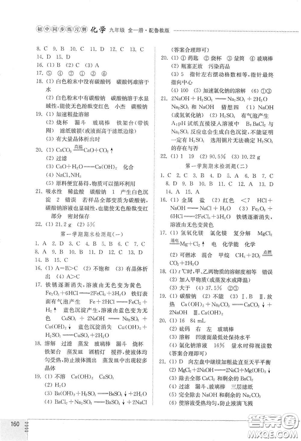 山東教育出版社2021初中同步練習(xí)冊(cè)九年級(jí)化學(xué)九年級(jí)全一冊(cè)魯教版五四學(xué)制答案