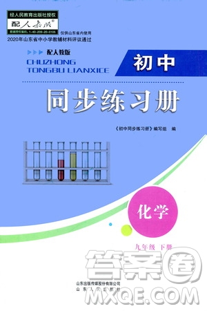 山東人民出版社2021初中同步練習(xí)冊九年級化學(xué)下冊人教版答案