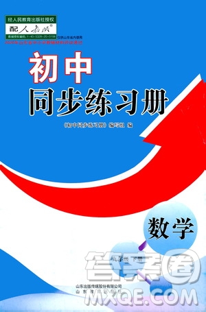 山東教育出版社2021初中同步練習冊九年級數(shù)學下冊人教版答案