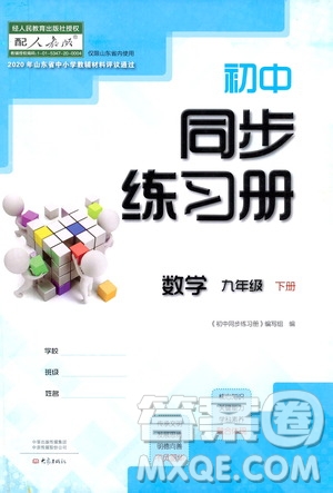 大象出版社2021初中同步練習(xí)冊(cè)九年級(jí)數(shù)學(xué)下冊(cè)人教版山東專版答案