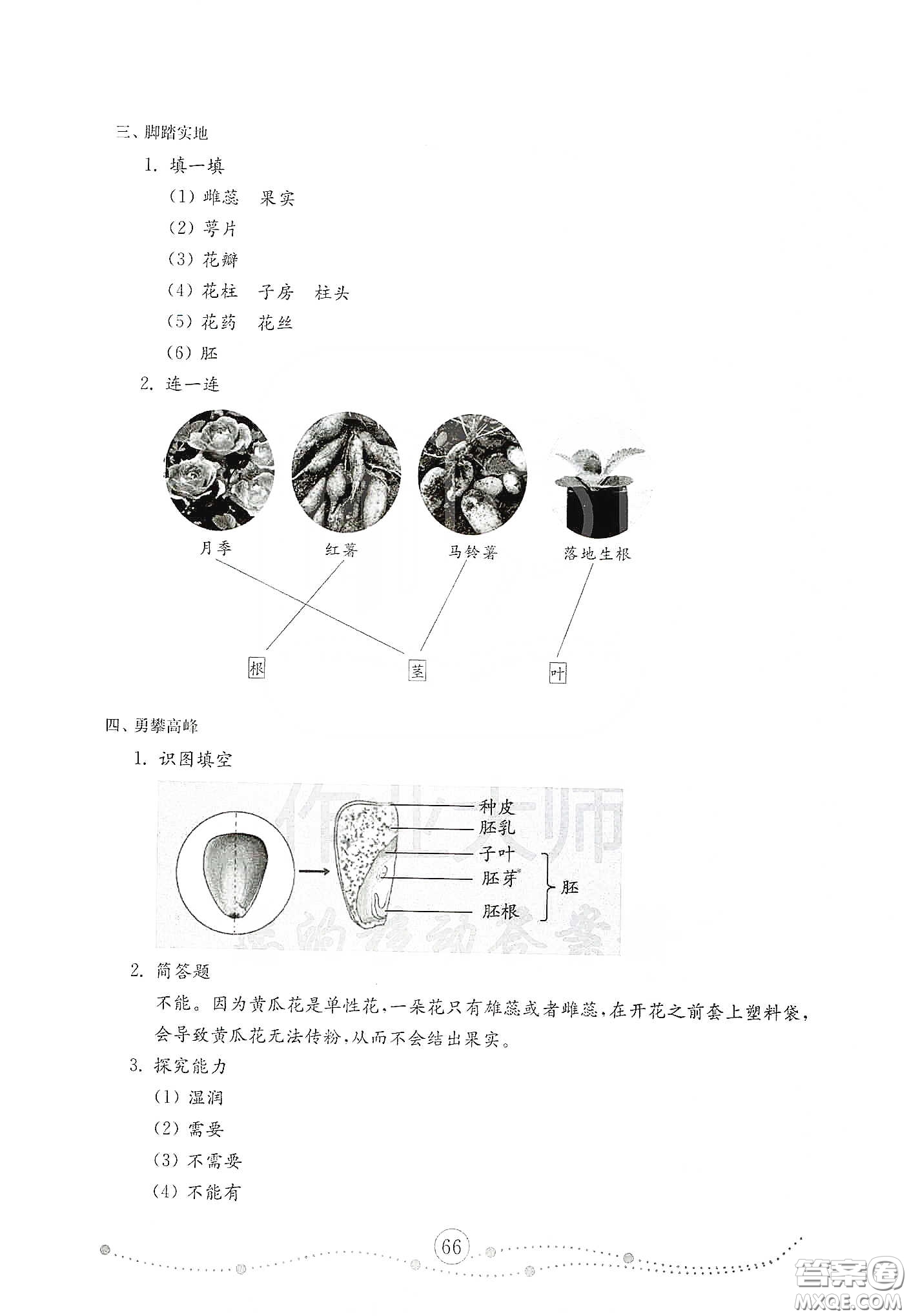 山東教育出版社2021小學科學試卷金鑰匙三年級下冊人教版答案