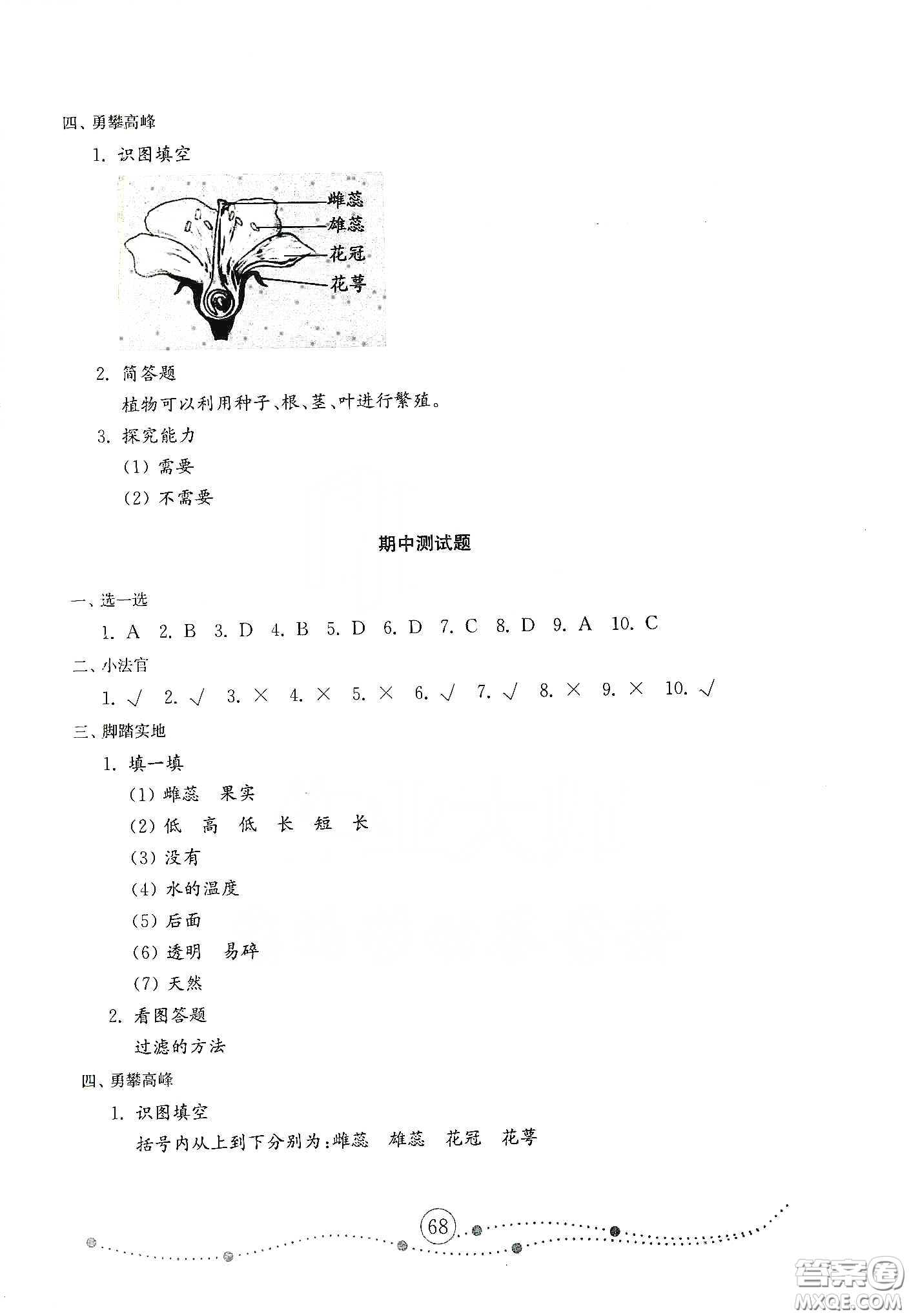 山東教育出版社2021小學科學試卷金鑰匙三年級下冊人教版答案