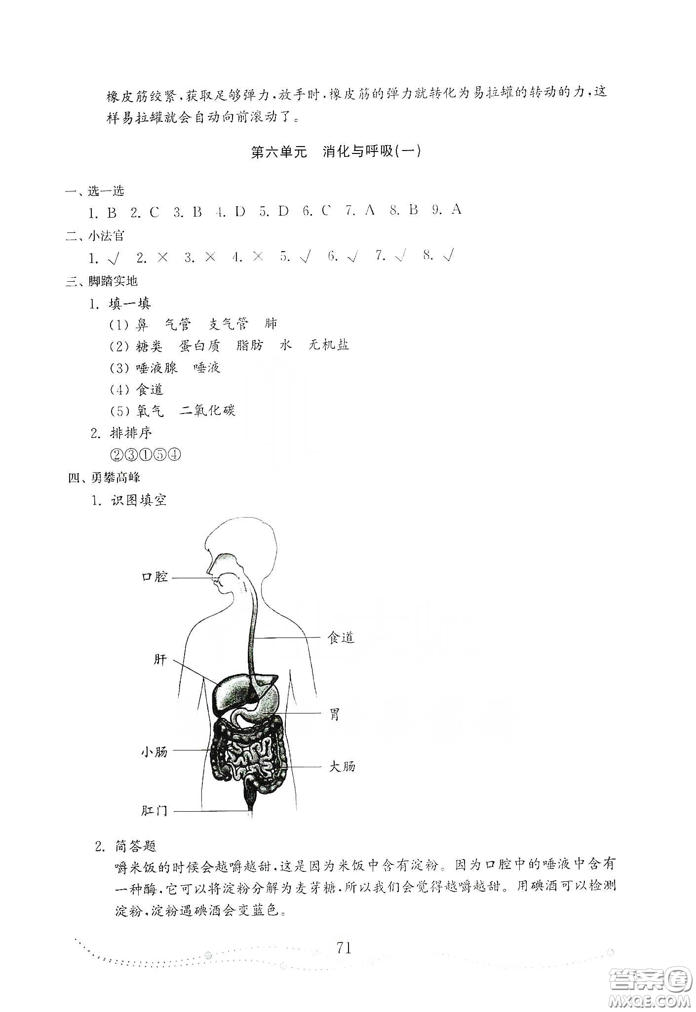 山東教育出版社2021小學科學試卷金鑰匙三年級下冊人教版答案