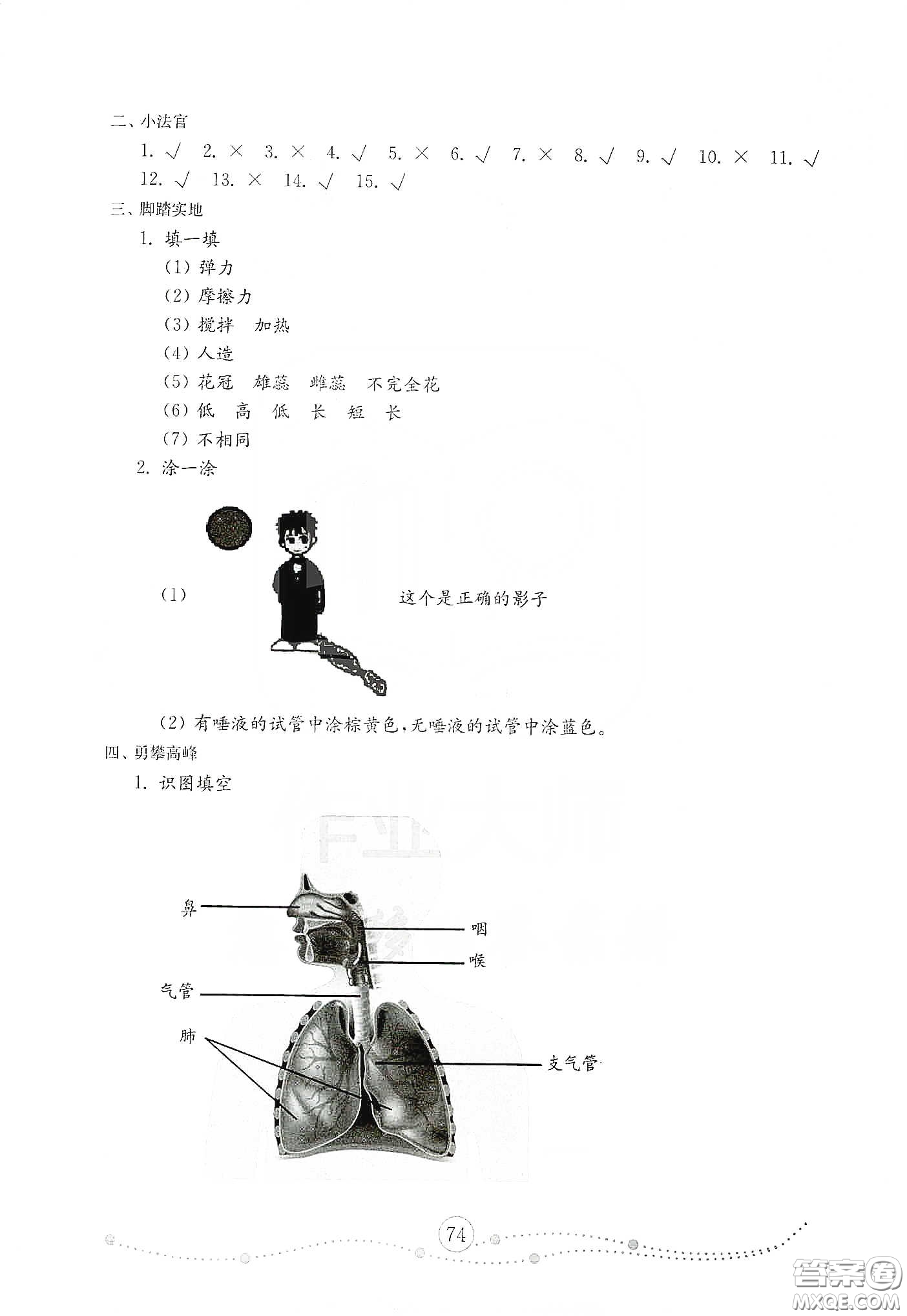 山東教育出版社2021小學科學試卷金鑰匙三年級下冊人教版答案