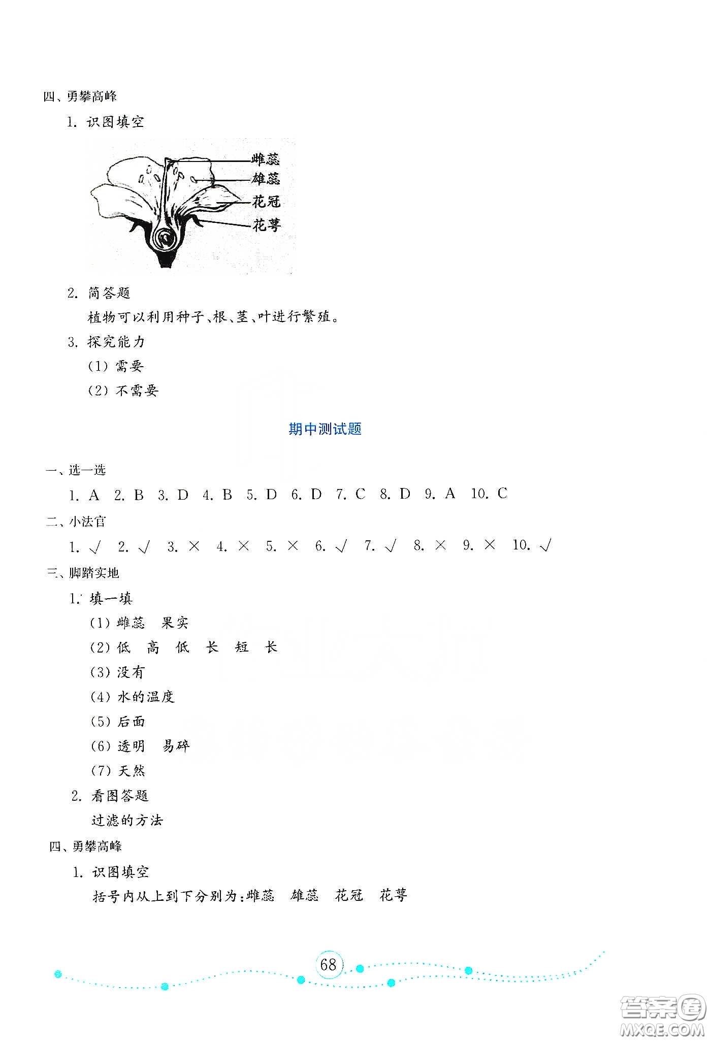 山東教育出版社2021金版小學科學試卷金鑰匙三年級下冊答案