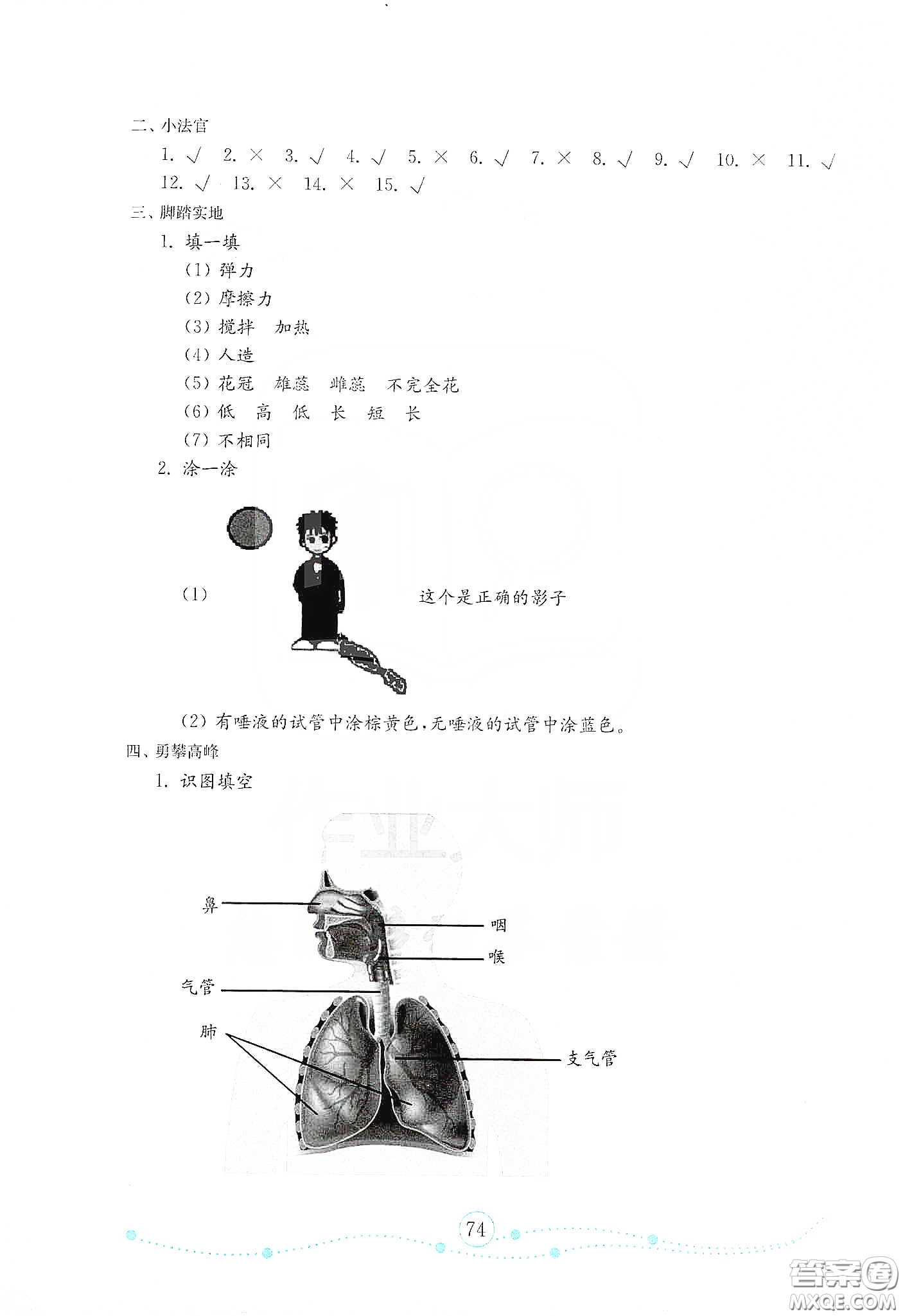 山東教育出版社2021金版小學科學試卷金鑰匙三年級下冊答案