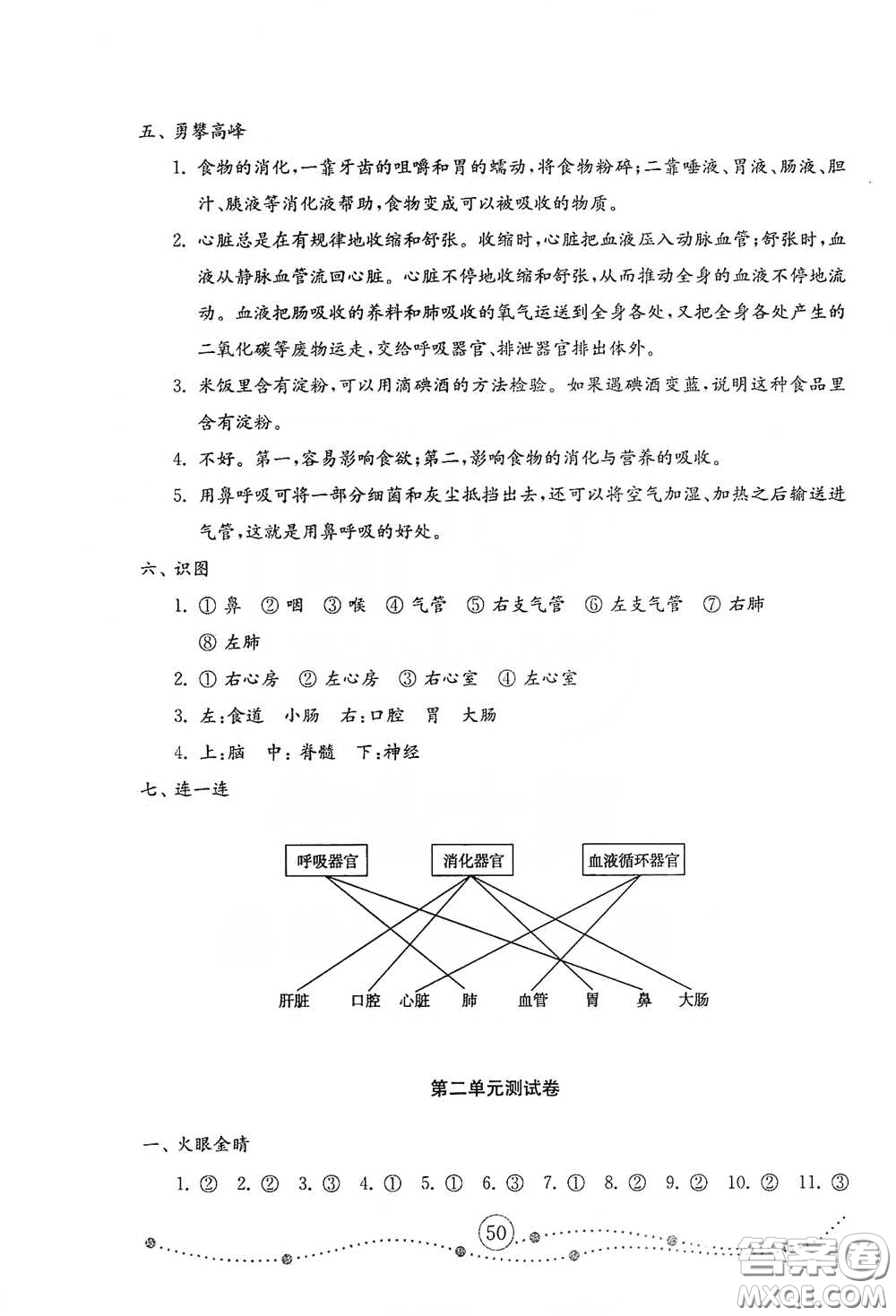 山東教育出版社2021小學科學試卷金鑰匙五年級下冊人教版答案