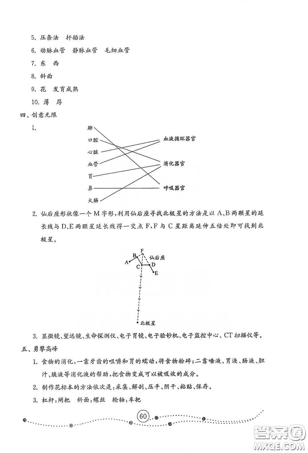 山東教育出版社2021小學科學試卷金鑰匙五年級下冊人教版答案