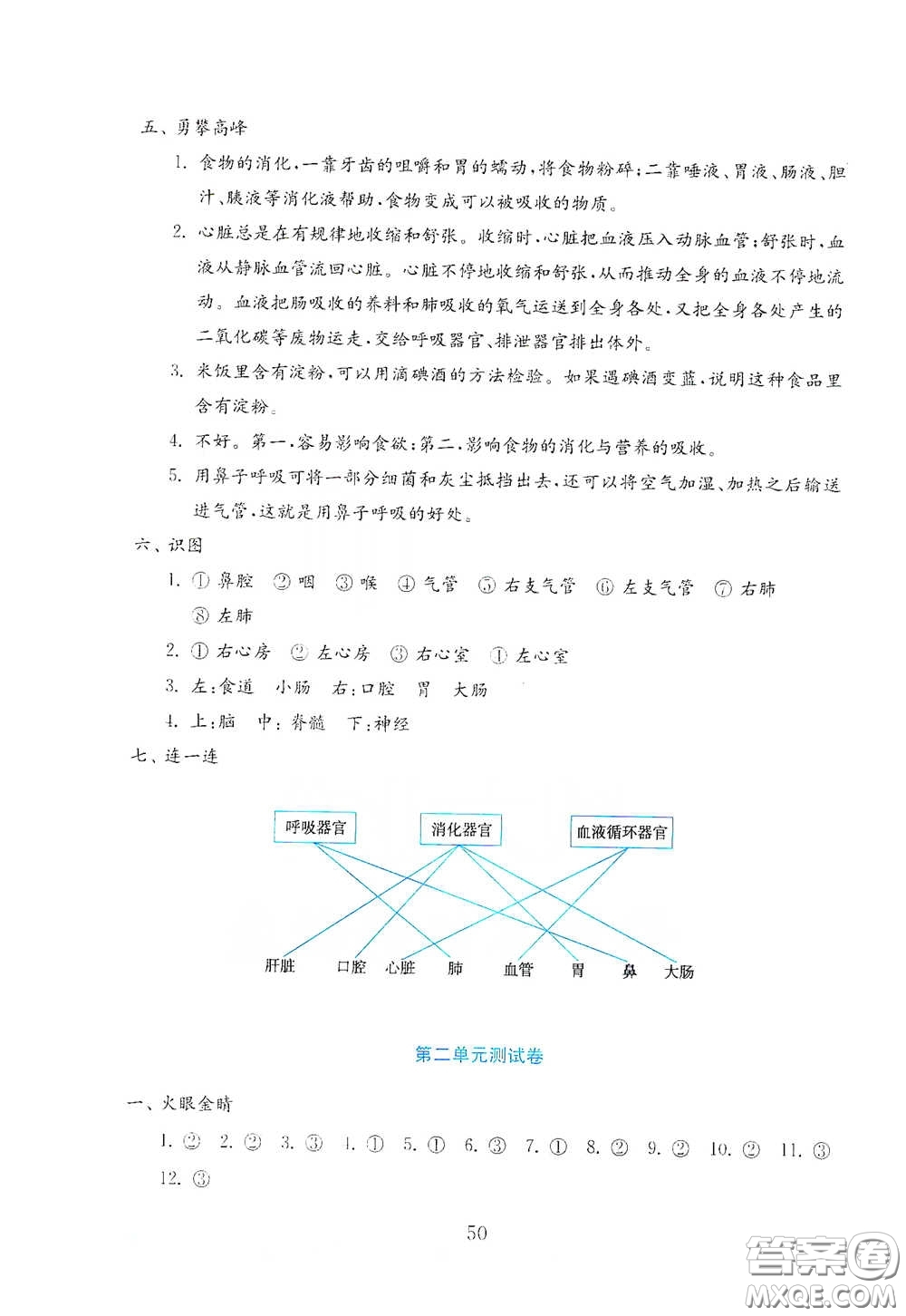 山東教育出版社2021金版小學(xué)科學(xué)試卷金鑰匙五年級下冊山東小學(xué)專用答案