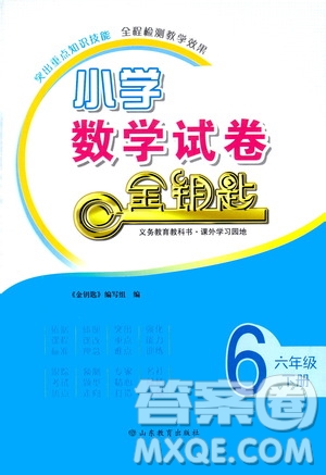 山東教育出版社2021小學數(shù)學試卷金鑰匙六年級下冊答案