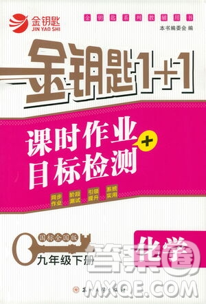 蘇州大學(xué)出版社2021金鑰匙1+1課時作業(yè)目標(biāo)檢測九年級化學(xué)下冊國標(biāo)全國版答案