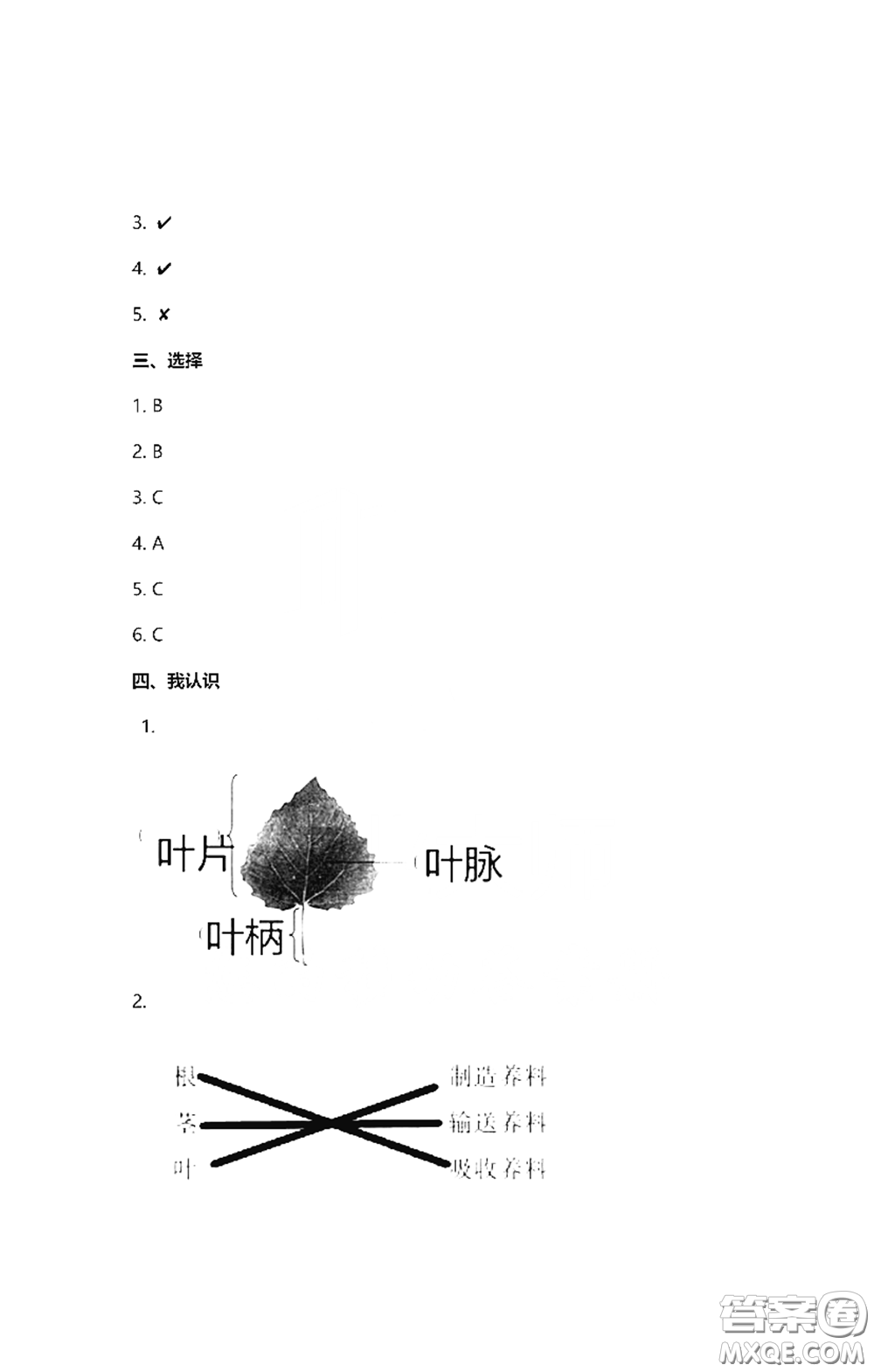 2021云南省標(biāo)準(zhǔn)教輔同步指導(dǎo)訓(xùn)練與檢測三年級科學(xué)下冊蘇教版答案