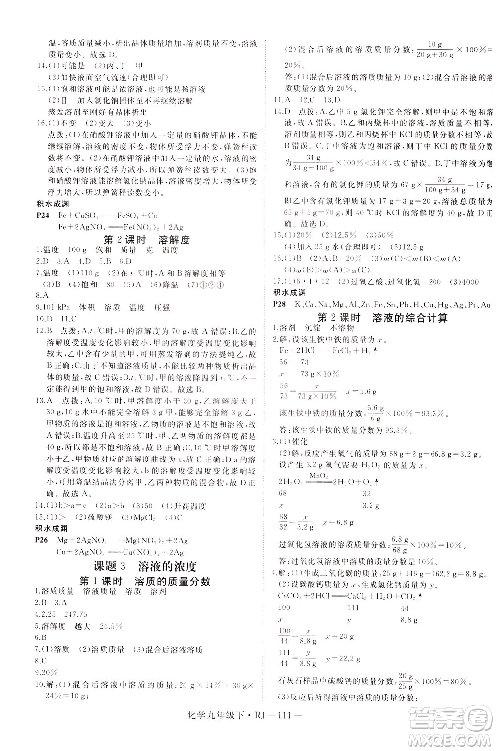 延邊大學(xué)出版社2021新領(lǐng)程初中化學(xué)九年級下冊RJ人教版答案