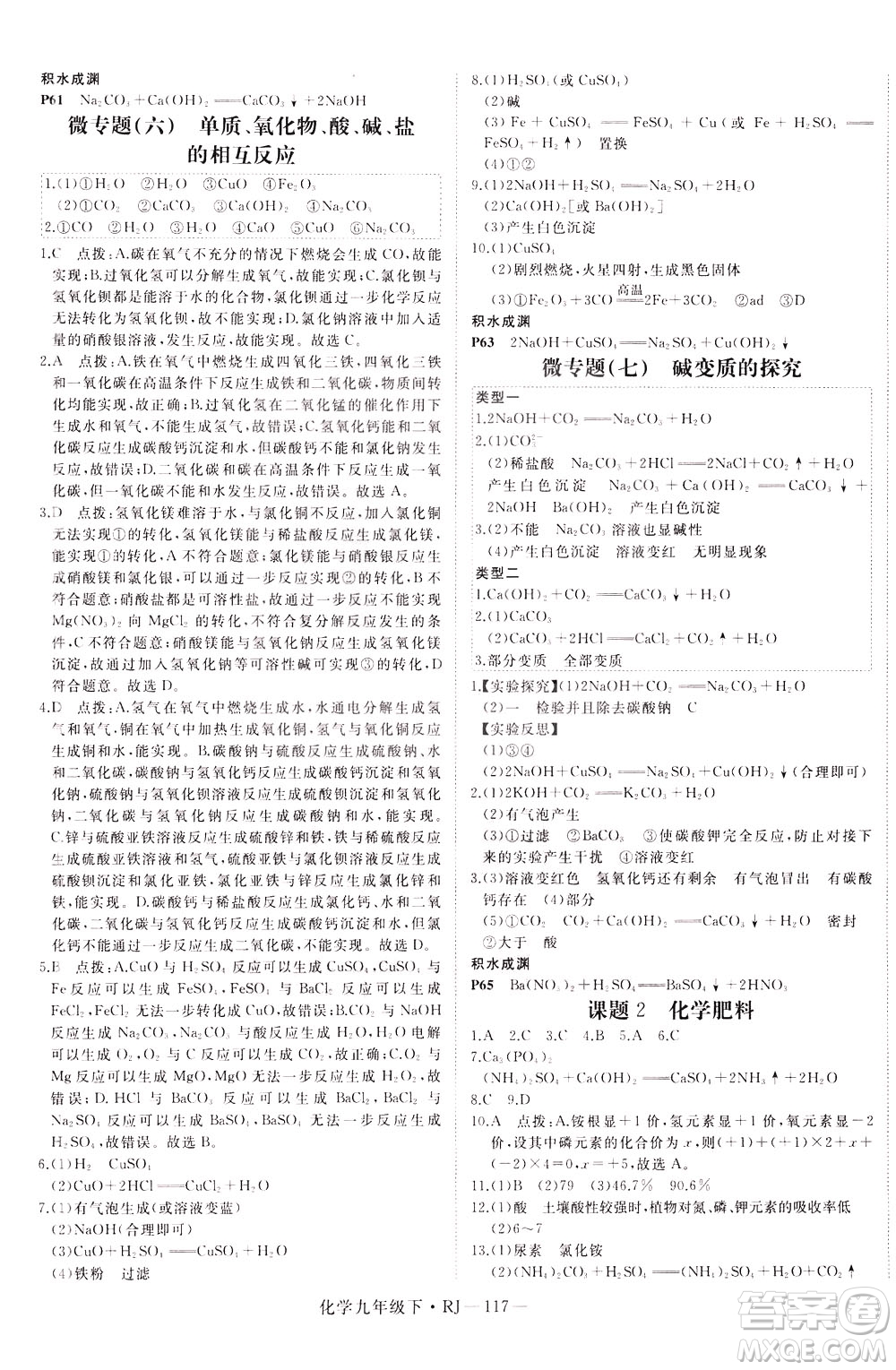 延邊大學(xué)出版社2021新領(lǐng)程初中化學(xué)九年級下冊RJ人教版答案