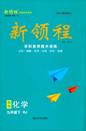 延邊大學(xué)出版社2021新領(lǐng)程初中化學(xué)九年級下冊RJ人教版答案