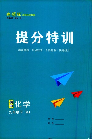 延邊大學(xué)出版社2021新領(lǐng)程提分特訓(xùn)初中化學(xué)九年級(jí)下冊(cè)RJ人教版答案