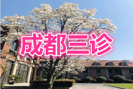 成都市2018級(jí)高中畢業(yè)班第三次診斷性檢測(cè)語文試題及答案