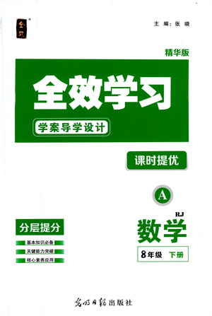 光明日報出版社2021全效學習課時提優(yōu)數(shù)學八年級下冊RJ人教版A版答案