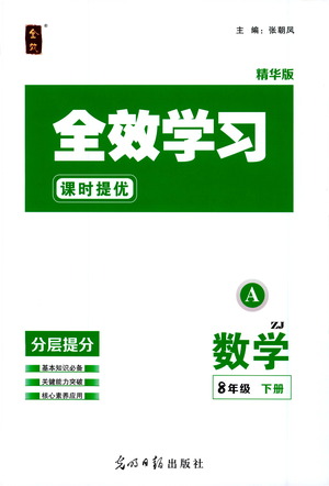 光明日報(bào)出版社2021全效學(xué)習(xí)課時(shí)提優(yōu)數(shù)學(xué)八年級下冊ZJ浙教版A版答案