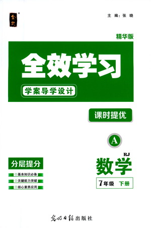 光明日報出版社2021全效學(xué)習(xí)課時提優(yōu)數(shù)學(xué)七年級下冊RJ人教版A版答案