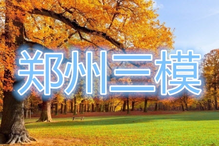 鄭州市2021年高中畢業(yè)年級(jí)第三次質(zhì)量預(yù)測(cè)理科數(shù)學(xué)試題及答案