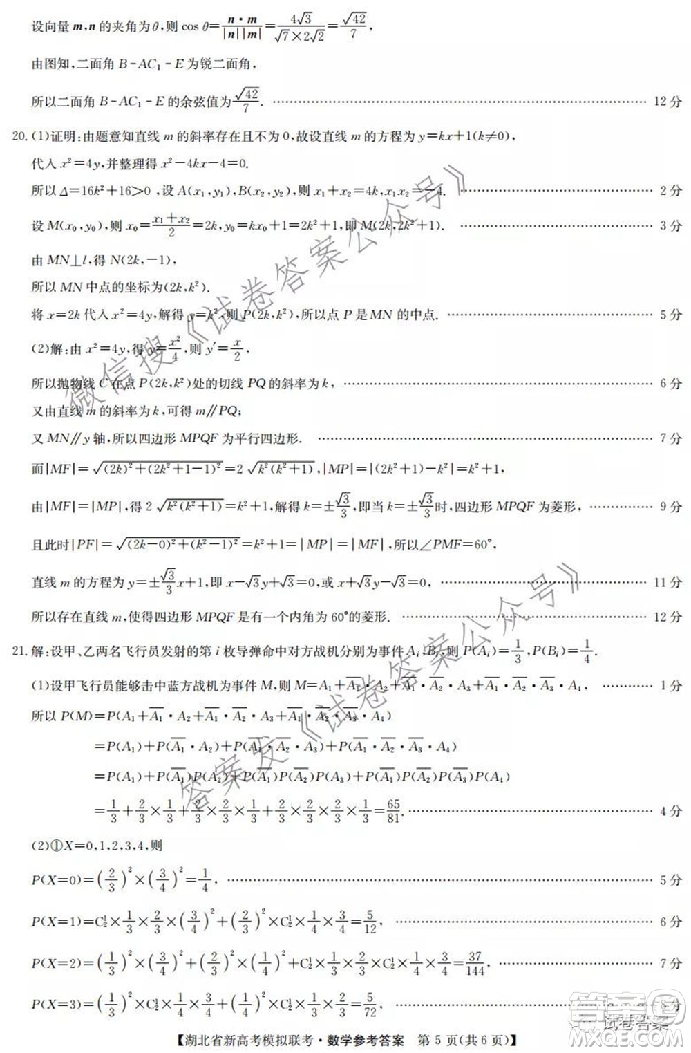 2020-2021學(xué)年湖北省新高考模擬聯(lián)考數(shù)學(xué)試題及答案