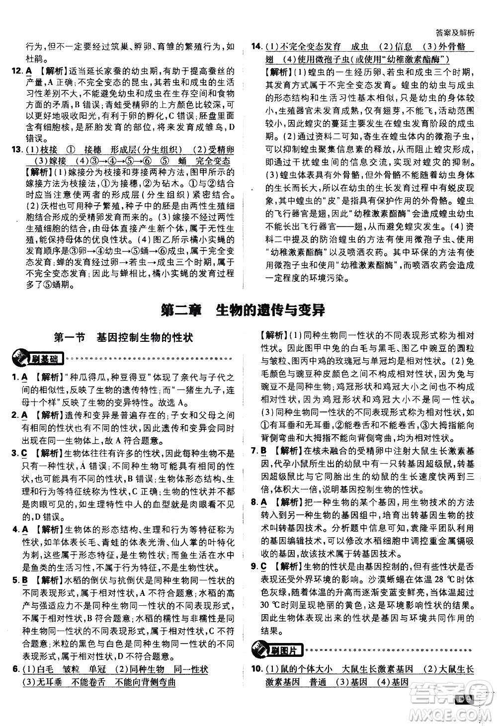 開明出版社2021版初中必刷題生物八年級下冊RJ人教版答案