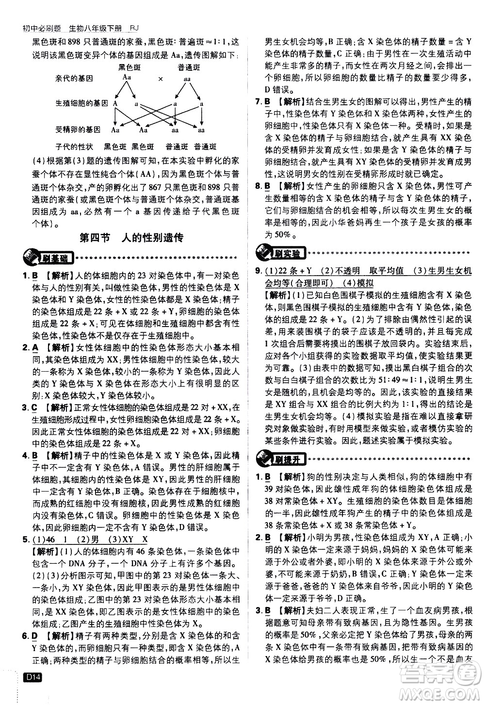 開明出版社2021版初中必刷題生物八年級下冊RJ人教版答案