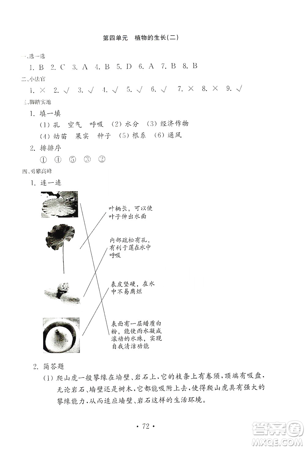 山東教育出版社2021年小學科學金鑰匙試卷四年級下冊青島版答案