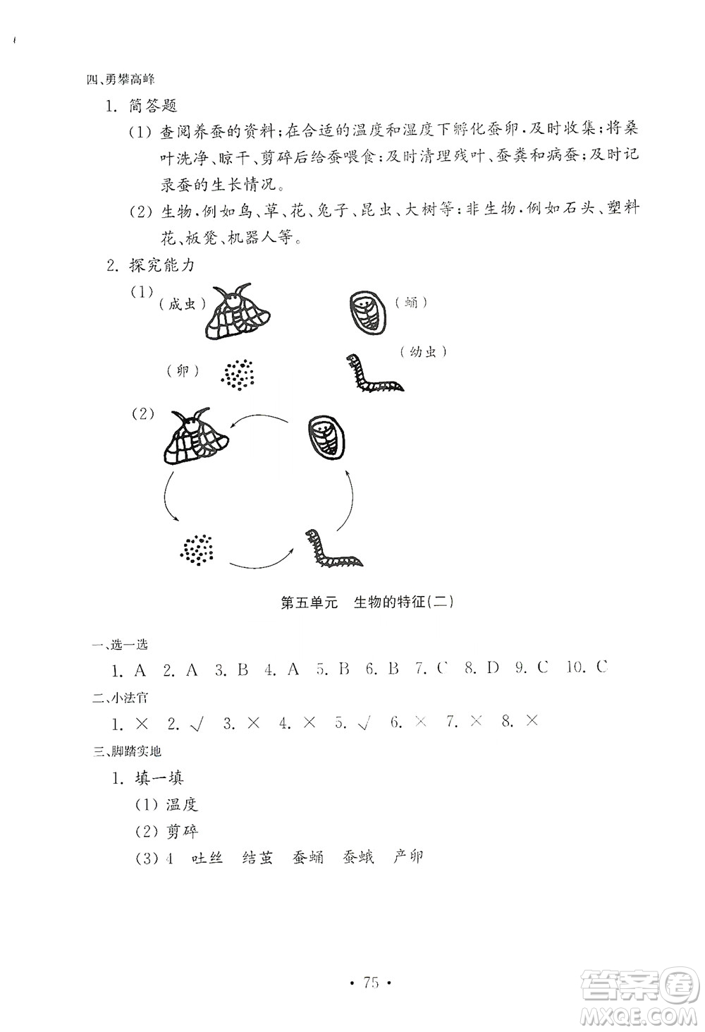 山東教育出版社2021年小學科學金鑰匙試卷四年級下冊青島版答案