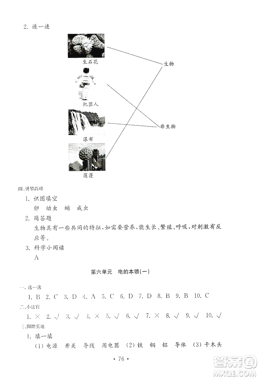 山東教育出版社2021年小學科學金鑰匙試卷四年級下冊青島版答案