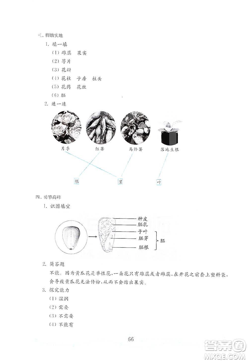 山東教育出版社2021年小學(xué)科學(xué)金鑰匙試卷四年級(jí)下冊(cè)金版青島版答案