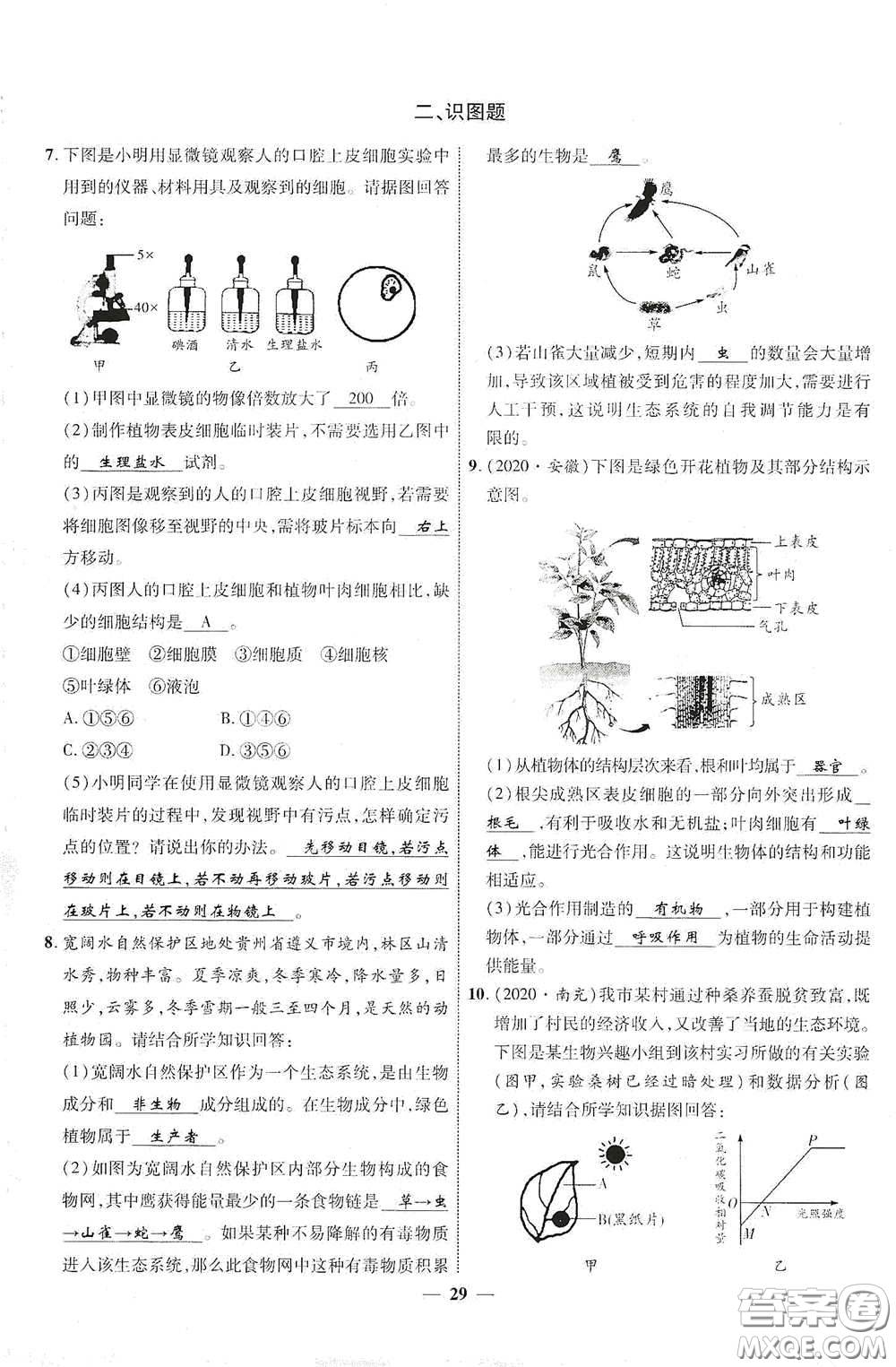 世界圖書出版社公司2021江西中考新突破2021升級版生物答案